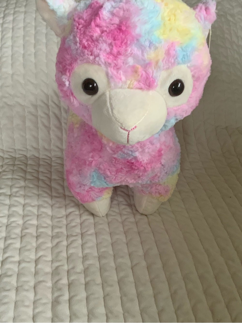 Signature Rainbow Llama Plush in Pastel Pink, Yellow, Blue